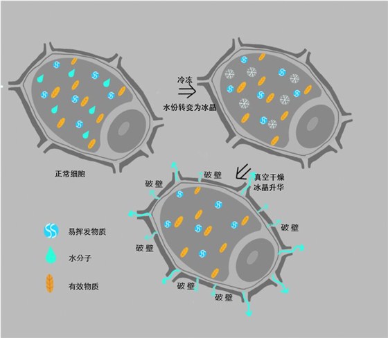 QQ圖片20160714200208.jpg QQ圖片20160714200208.jpg