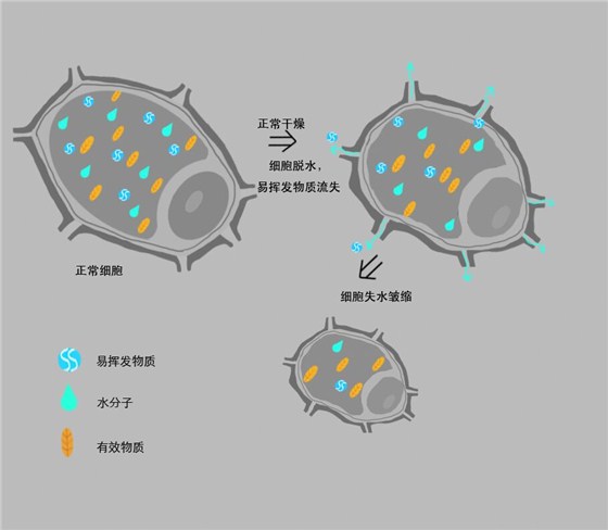 QQ圖片20160714200219.jpg QQ圖片20160714200219.jpg