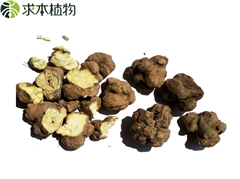 凍干夏天無(wú)