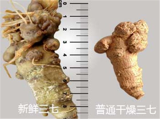 對比1