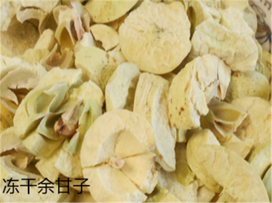 余甘子細節(jié)比對1