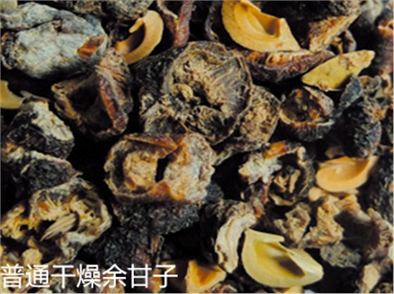 余甘子細節(jié)比對2