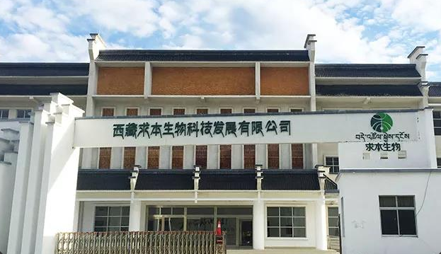 從西藏求本看中藥現(xiàn)代化:科研為基，打造中藥凍干產(chǎn)品新標(biāo)桿