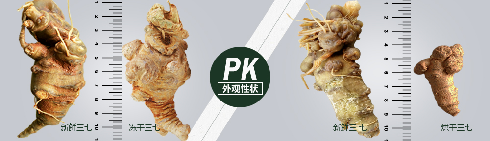 PK圖片5