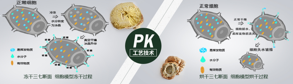 PK圖片4