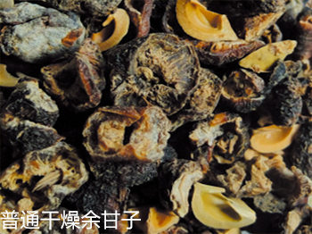 余甘子細(xì)節(jié)比對(duì)2