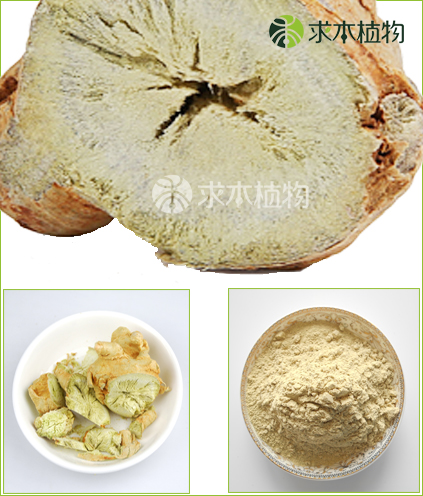 423496三七粉 423496三七粉